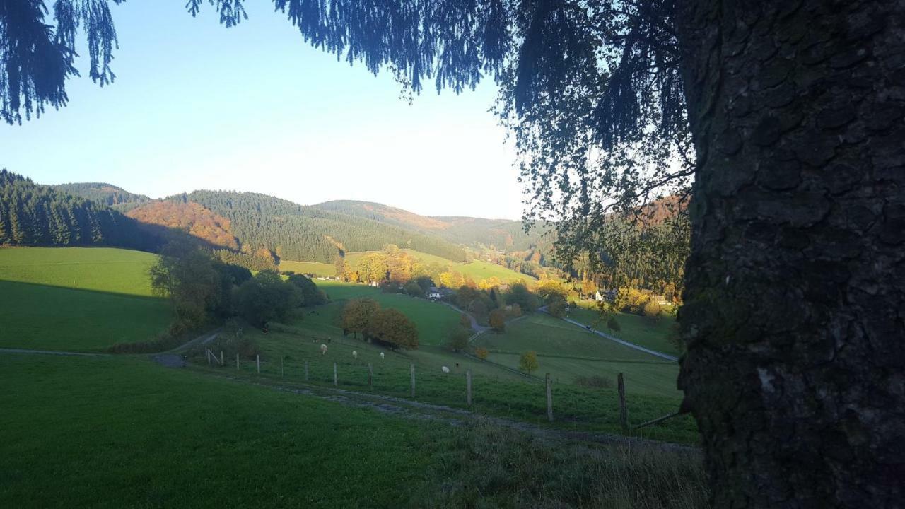 Pension Bergfrieden シュマレンベルク エクステリア 写真